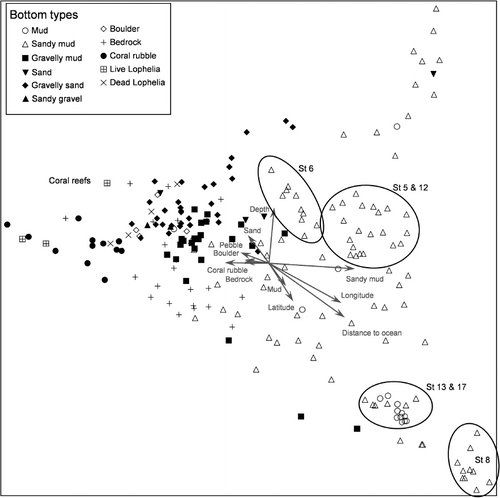 Figure 8. Ordination plot (DCA) of 50-m video sequences based on quantitative analysis of 216 video sequences from 15 stations.