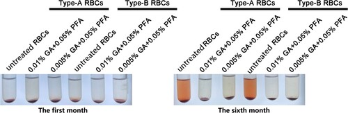 Figure 4. The appearance of RBCs in the first and sixth months after treatment with various concentrations of treated solution. The color of treated red blood cell reagents containing 0.01% GA+0.05% PFA and 0.005% GA+0.05% PFA did not change significantly in the first and sixth months, whereas the color of untreated red blood cell reagents became notably red in the sixth month.