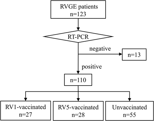 Figure 1. Flowchart of classification of RVGE patients based on vaccine status.