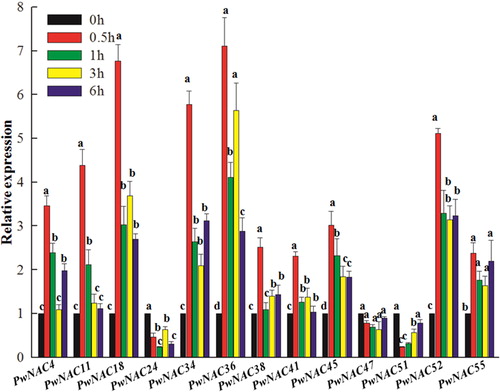 Figure 9. Expression profiles of 13 NAC genes under the wounding treatment.