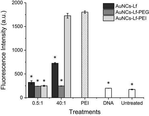Figure 8 Quantification of the cellular uptake of fluorescein-labeled DNA complexed with AuNCs-Lf, AuNCs-Lf-PEG and AuNCs-Lf-PEI or as a solution, after 24-h incubation with PC-3 cells, using flow cytometry (n = 6). *P < 0.05 when compared with PEI-DNA.