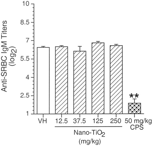 Figure 2. Serum IgM enzyme-linked immunosorbent assay (ELISA). Female B6C3F1 mice were treated with nano-TiO2 for 28 days by oral gavage and were immunized with SRBC on Day 25 of the experimental period. Results are presented as mean (±SE) for serum (log2) titres. Positive control was 50 mg CPS/kg. Level of statistical significance: **p ≤ 0.01 as compared to vehicle control group.