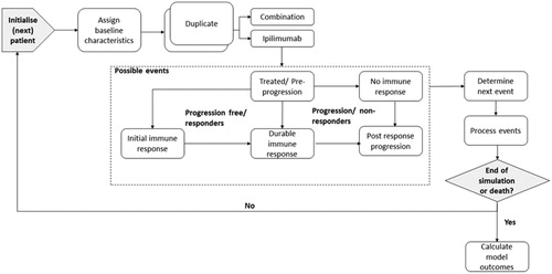 Figure 3. Model schematic for the patient level simulation.