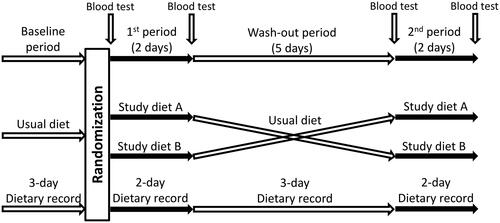 Figure 1. Study design and outcome assessments. Participants were randomly assigned to receive study diet A (with a phosphorus-to-protein ratio [PPR] of 8 mg/g) or study diet B (with a PPR of 10 mg/g) during 2-day study periods separated by a 5-day washout period. A total of 4 repeated measurements for the study outcomes were attained before and after each study period. Before each study phase, each participant kept a 3-day dietary record to enable estimation of the nutrient content of his or her usual diet. During the study periods, dietary compliance was assessed by evaluation of 2-day dietary records.