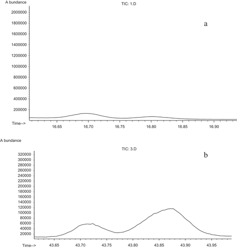Figure 2. Total ion chromatogram (TIC) of the selected peak cluster, (a) hydro distillation by Clevenger-type apparatus (b) microwave-assisted hydro distillation.