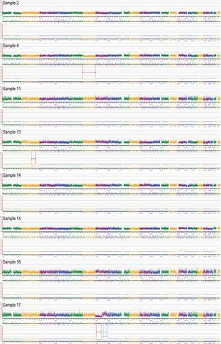 Figure 3. Preimplantation genetic testing for aneuploidy (PGT-A) results of all samples (2, 4, 11, 13, 14, 15, 16 and 17). Compared with the hg19 reference genome through PGT-A analysis, the sketch maps shown that sample 4 has a mosaic deletion of the chromosome 6; Sample 13 has a mosaic deletion in the chromosome 2 (q21.2–q32.1) (56.34 Mb); Sample 17 has a deletion in the chromosome 7 (p21.3–q11.23) (67.88 Mb) and a duplication in the chromosome 7 (q22.1–q36.1) (49.99 Mb). The deletions were marked with red arrows and the duplication was marked with blue arrow. Sample 2’s, 11’s, 14’s, 15’s and 16’s chromosomes were balanced.