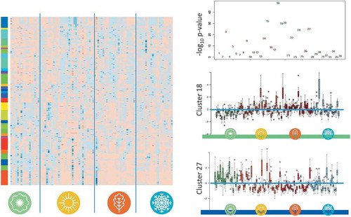Figure 5. Hierarchical clustering of miRNAs depending on their seasonal expression. The left part of the figure contains a color-coded heat map, where blue stands for high expression and orange for low expression. The profiles for the four seasons are presented without reordering while the miRNAs have been clustered according to matching expression patterns. The panel on the left of the heat map separates all miRNAs in 36 distinct expression-based clusters, each with its own colour. The top panel on the right-hand side presents the negative decadal logarithm for dys-regulation of each expression-based cluster, colour coded in green and red are expression-based clusters with lowest expression and highest expression in spring, respectively. The middle and lower right panels show a box-plot of individual expression of all miRNAs belonging to expression-based cluster 18 and 27, respectively.