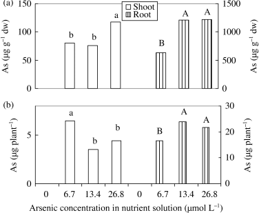 Figure 4  Effect of As on the (a) concentration and (b) accumulation of As in shoots and roots of rice seedlings. Bars with different letters are significantly different (P < 0.05) according to a Ryan–Einot–Gabriel–Welsch multiple range test.