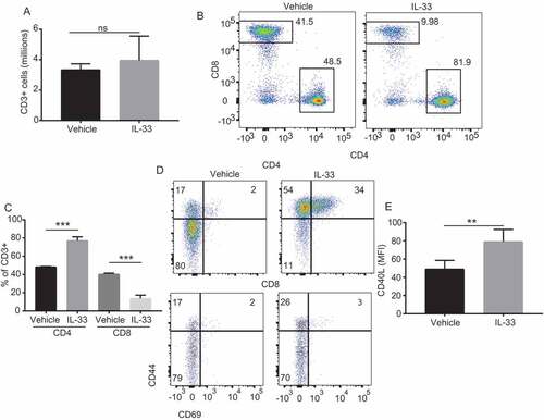 Figure 3. IL-33 promotes recruitment and activation of peritoneal CD4 T cells.