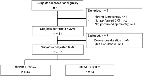 Figure 1. The flow of the subjects. Abbreviations: CAT, COPD assessment test; 6MWD, 6-minute walking distance.