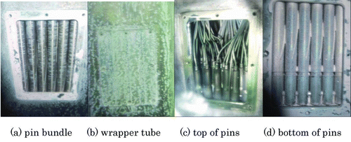 Figure 12 Surface views of pin bundle model after cleaning test (case 2–1)