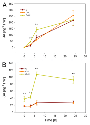 Figure 1. Kinetics of (A) jasmonic acid (JA) and (B) salicylic acid (SA) accumulation in response to herbivory. Phytohormone levels were measured in Zea mays leaves after 0 h, 3 h, 6 h and 24 h of caterpillar feeding. C, control plants grown without added copper; CuL, plants exposed to 10 µM Cu; CuH, exposed to 80 µM Cu. **p < 0.01, Kruskal-Wallis ANOVA followed by median test. Symbols depict mean values (± SE), n = 7.