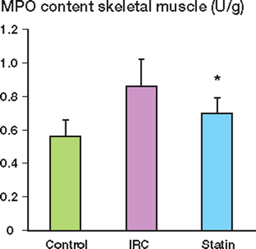Figure 3. Effect of pravastatin pretreatment on skeletal muscle neutrophil infiltration (MPO – myeoloperoxidase). Data are expressed as mean (SD) in each group.* p < 0.04 vs. ischemia reperfusion control (IRC)