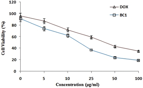 Figure 9. Effect of aqueous extract of Pedalium murex L. copper nanoparticles against A549 cancer cell.