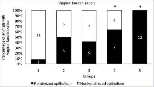 Figure 1. Percentage of animals with the keratinization of the vaginal epithelium after 3 days of exposure to the 2010 drinking water extract. Groups: 1: Extract of ultrapure water (extract process control); 2: Extract of water sample: 33.3 ml/kg bw; 3: Extract of water sample: 166.5 ml/kg bw; 4: Extract of water sample: 333 ml/kg bw; 5: Estrogenic Positive control 17-α-ethynylestradiol (1 μg/kg bw). (*) statistically different (Fischer test) from the Extract of ultrapure water group at P < 0.05.