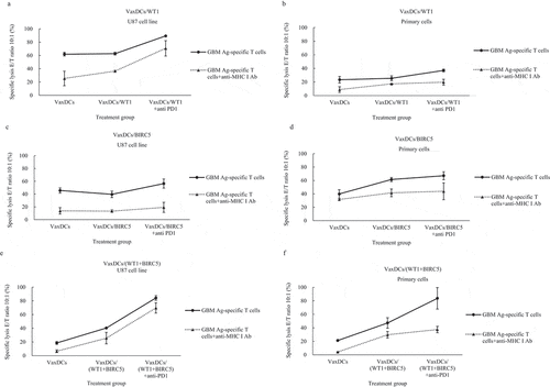 Figure 5. Lactate dehydrogenase (LDH) release to estimate the killing effects CTLs stimulated by CTP-fused protein antigen pulsed VaxDCs combined with anti-PD1. (A-F) We tested the ability of CTP-fused protein antigen-specific CTLs to kill primary cells and U87 cell line by using a standard LDH release assay. The CTLs stimulated by VaxDCs pulsed with CTP-fused WT1 or CTP-fused BIRC5 or combination of CTP-fused WT1 and CTP-fused BIRC5 along with anti-PD1 exhibited highest cytotoxic activity against both primary cells and U87 cell line. Human glioblastoma primary cells and U87 human glioblastoma cell line were used as the target cells. The E/T ratio was 10:1. Primary cell: human glioblastoma primary cells, U87 cell line: human glioblastoma cell line, CTL alone: no target cells; VaxDCs: CTLs stimulated by VaxDCs unpulsed with protein antigens; VaxDCs/WT1: CTLs stimulated by VaxDCs pulsed with CTP-fused WT1; VaxDCs/BIRC5: CTLs stimulated by VaxDCs pulsed with CTP-fused BIRC5; VaxDCs/(WT1+ BIRC5): CTLs stimulated by VaxDCs pulsed with CTP-fused WT1 and CTP-fused BIRC5. *: p < .05, **: p < .01, ***: p < .001