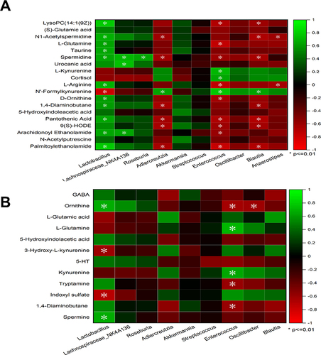 Figure 10 Correlation analysis between metabolites and microorganisms. Pearson correlation analysis among microbial biomarkers and differential metabolites in fecal samples (A). Pearson correlation analysis among microbial biomarkers and neurotransmitters in the hippocampus (B). The color key represents Pearson’s correlation coefficient. The green color indicates positive correlations, while the red color indicates negative correlations. n=6 rats per group, significance is indicated as *P<0.01.