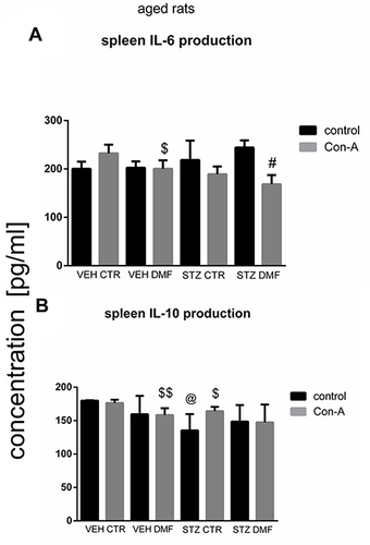 Figure 6 Concanavalin (Con) A-stimulated splenocyte mononuclear cell (SMC) production of interleukin (IL)-6 (A) and interleukin (IL)-10 (B) in aged rats subjected to dimethyl fumarate (DMF) or control therapy (CTR) initiated on day 0 (0.4% DMF or standard rat chow) and intracerebroventricular injection of streptozotocin (STZ) or vehicle (VEH) on days 2 and 4.