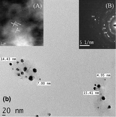 Figure 6. TEM image of the AuNPs distribution Inset shows (A) HRTEM image and (B) the SAED patterns of the (111) plane.