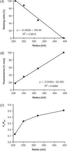 Fig 9. Relationship between redox potential and (A) percentage of resting cells of Cymbellonitzschia diluviana (rounded chloroplasts); (B) fluorescence (expressed as a percentage of the maximum surface fluorescence); (C) Fv/Fm ratio. The sand was taken from a trough between Bar 3 and Bar 4 on 8 March 1989.