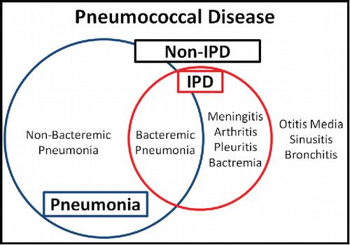 Figure 1. Schematic spectrum of pneumococcal disease Pneumococcal diseases consist of 2 groups: invasive pneumococcal disease (IPD) and non-IPD. IPD is a pneumococcal disease in which Streptococcus pneumoniae is detected in a sterile space. IPD consists of bacteraemic pneumonia, pleuritis, meningitis, arthritis, and bacteraemia, and non-IPD consists of non-bacteraemic pneumonia, otitis media, sinusitis, and bronchitis. Although bacteraemia occurs in only 10–30% of pneumococcal pneumonia cases, bacteraemic pneumonia is the most common IPD owing to the clinical frequency of pneumococcal pneumonia. In clinical settings, pleuritis usually occurrs with pneumonia.