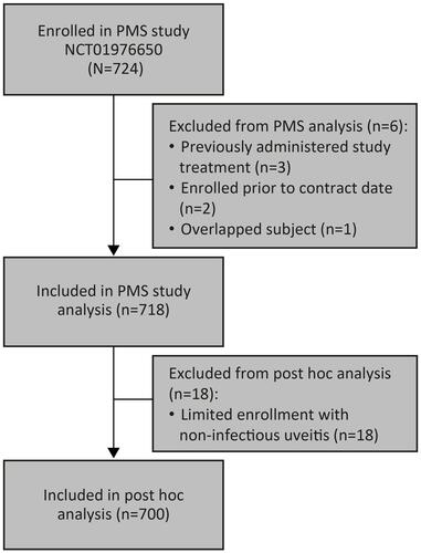 Figure 1 Subject flow diagram for post-hoc analysis of post-marketing surveillance (PMS) study of dexamethasone intravitreal implant use in patients with branch retinal vein or central retinal vein occlusion.