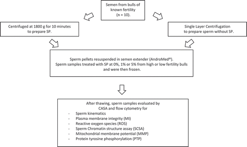 Figure 1. Experimental design.