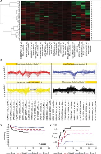 Figure 4 Outcomes analysis for patients with pediatric ALL (n=465 patients) stratified by TEC1 gene expression signature. (A) Unsupervised hierarchical clustering was used to class pediatric ALL patients into four patient groups based upon the expression pattern of the 15 TEC1 genes associated with response to at least one chemotherapy. The groups are indicated on the left of the figure: black = Group 1 (n=51); red = Group 2 (n=39); blue = Group 3 (n=184); and green = Group 4 (n=191). Each row represents a patient and each column represents a gene. High levels of expression are indicated by red, and low levels of expression are indicated by green, both relative to the mean (black). (B) Gene expression signatures of the 15 TEC1 genes for each of the four patient groups. (C) EFS curves for children newly diagnosed with ALL stratified by group (P=0.0001). (D) CRR curves for children newly diagnosed with ALL stratified by group (P=0.0025).