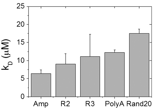Fig. 3. The dissociation constant, KD, of ASRT on different DNA sequences.Note: Error bars are standard errors from three independent sets of ASRT concentration-dependent FCS measurements.