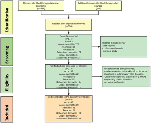 Figure 2 Flow diagram of study selection.