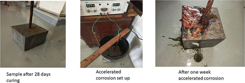 Figure 5. Accelerated corrosion test.