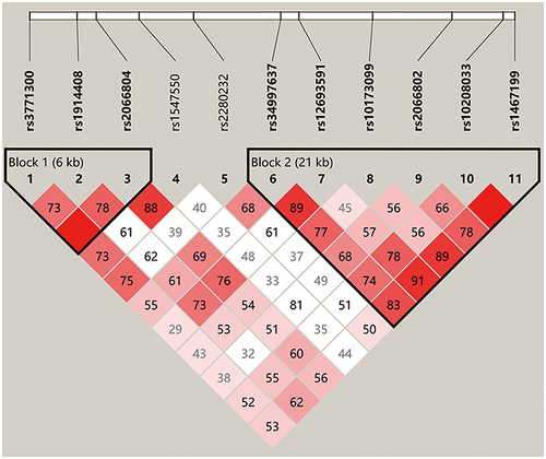 Figure 5 Haplotype block structure and linkage disequilibrium (LD) analysis of STAT1.