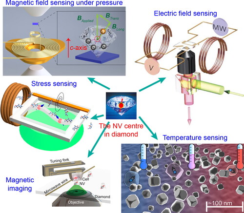 Figure 2. An illustration of the versatility of the NV centre, including magnetic field sensing under pressure (Reproduced with permission from Yip et al., Science 366, 1355 (2019). Copyright 2019 American Association for the Advancement of Science), electric field sensing (Reproduced with permission from Dolde et al., Nat. Phys. 7, 459 (2011). Copyright 2011 Springer Nature, stress sensing (Reproduced from Barson et al., Nano Lett. 17, 1496 (2017). Copyright 2017 Author(s), licensed under a Creative Commons Attribution (CC BY) license), temperature sensing (Reproduced from Neumann et al., Nano Lett. 13, 2738 (2013). Copyright 2013 Author(s), licensed under a Creative Commons Attribution (CC BY) license) and magnetic imaging (Reproduced from Wang et al., Sci. Adv. 5, eaau8038 (2019). Copyright 2019 Author(s), licensed under a Creative Commons Attribution (CC BY) license).