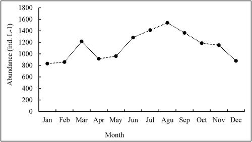 Figure 2. Monthly pattern of total zooplankton abundance (ind. L−1) in Lake Shala from January to December 2018.
