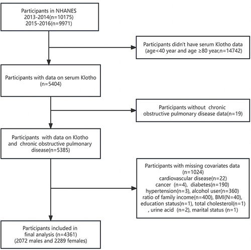 Figure 1 Flowchart of participants selection.