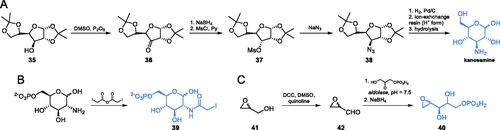 Scheme 9. Syntheses of GlcN-6-P and Fru-6-P analogues targeting GlcN-6-P synthase.