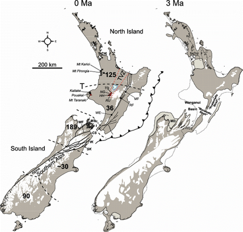 Figure 1  New Zealand at present day (left) and reconstruction for 3 Ma (right). The inferred land area (grey) is shown relative to the modern coastline. Areas of land higher than c. 1000 m are shown in white, areas of low-lying land and marginal-marine deposition in the 3 Ma map are shown in lighter grey. Of note is the large area of modern North Island that has emerged since 3 Ma. Areas of high and low plant endemism in New Zealand are bounded by dashed lines (after Wardle Citation1991), and the southern margin of the north North Island region of higher endemicity is sometimes referred to as the Taupo Line (T). Dotted line indicates the northern margin of plant species that have ranges otherwise restricted to South Island but extend north of Cook Strait (after Rogers Citation1989). Solid black lines in South Island indicate the position of the modern plate boundary along the Alpine Fault and the Marlborough Fault System. Solid black lines in North Island are some of the main faults of the North Island fault system. The Hikurangi subduction trough is shown by the toothed line. The 3 Ma palaeogeographic map has been compiled from several sources, including Beu et al. (Citation1980), Nathan et al. (Citation1986), Field et al. (Citation1989), Turnbull et al. (Citation1993), Isaac et al. (Citation1994), Beu (Citation1995), Bland et al. (Citation2008) and references therein. Abbreviations are: TVZ, Taupo Volcanic Zone; MF, Mohaka Fault; RF, Ruahine Fault; WE, Wellington Fault; MS, Marlborough Sounds; CS, Cook Strait; TG, Mount Tongariro; NG, Mount Ngauruhoe; HH, Mount Hauhungatahi; RU, Mount Ruapehu; WF, Wairau Fault; SK, Seaward Kaikoura Range; IK, Inland Kaikoura Range; CVZ, Coromandel Volcanic Zone; MD, Moutere Depression.