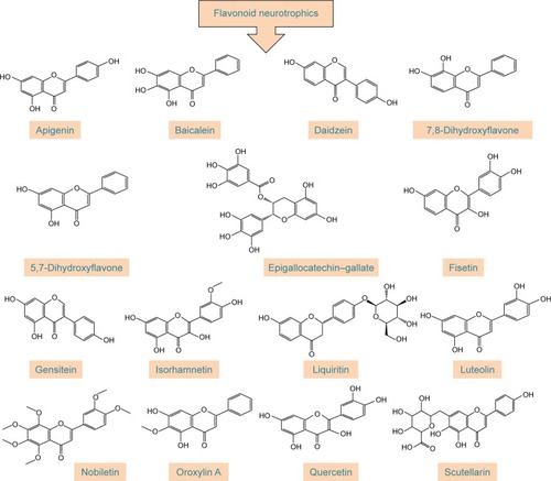 Figure 2 Chemical structures of flavonoids with neurotrophic activity.