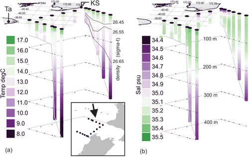 Figure 12. (A) Temperature and (B) salinity structure from the central west coast as captured in November of 1986 during TASBEX I (after Stanton and Moore Citation1992) with a view looking towards the south-east (see lower inset). These are the Wekakura and Maui lines from TASBEX (Stanton and Moore Citation1992). The vertical marker bars are at 100 m intervals and panel (A) shows example density contours for the sigma-t lines at 26.45, 26.55 and 26.55 kg m−3. Location markers are included for Taranaki (Ta, Figure 4C) and Kahurangi Shoals (KS, Figure 4C).