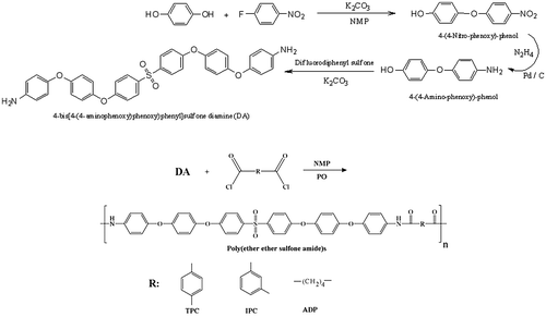 Scheme 1. Preparation of monomer and related poly(ether ether sulfone amide)s.