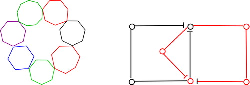 Figure 2. Examples of Necklace Blocks for (i) k > 2, and (ii) k=2.