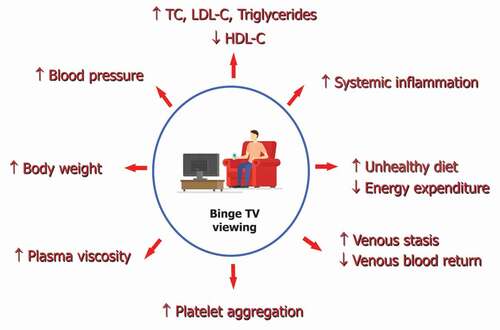 Figure 1. Proposed mechanistic pathways underlying the association between binge TV viewing venous and arterial thromboembolic disease.