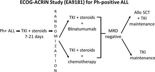 Figure 5 ECOG-ACRIN EA9181 – An ongoing prospective phase III trial for newly diagnosed Ph+ ALL. After a short prephase of steroids and TKI, patients are randomized to receive two cycles of a non-chemotherapy arm consisting of steroids, TKI and blinatumomab versus a standard steroid, TKI and chemotherapy arm. Patients who remain MRD-positive can crossover the induction arms. Those who achieve MRD-negativity will receive TKI maintenance, with or without an allogeneic HSCT (investigator choice).