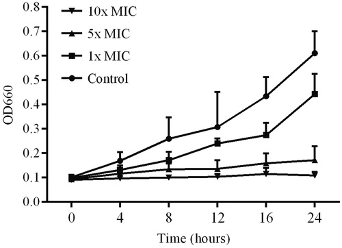 Figure 2. Bacteriolytic activity of lichen extract against MRSA. Cultures were incubated without extract (control) and with three different concentrations of the L. vulpina extract. The OD660 value was measured at various time points. Error bars indicate the standard deviation of the mean of three independent experiments with two replicates each (n = 6).