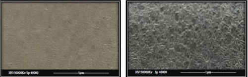 Figure 3 SEM images of the prepared superhydrophobic surface (the magnification power 25,000×, 100,000×)ss.