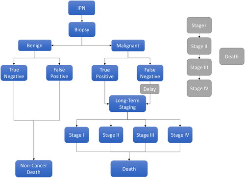 Figure 1. Conceptual model diagram. Conceptual Markov model of 1 year cycle length for the clinical treatment pathway of patients with IPNs who enter the model in either the CDP or LungLB arm. Patients can progress to testing with biopsy and receive either a benign or malignant IPN diagnosis, stratified by diagnostic accuracy. Patients with a benign diagnosis continue in the model until they experience a non-cancer death while patients with a malignant diagnosis continue into lung cancer staging and experience a non-cancer or cancer-related death. Patients who have a false negative malignant diagnosis experience a delay in treatment (shown in grey).