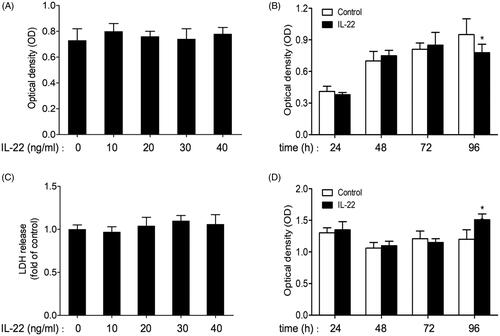 Figure 1. Effects of IL-22 on the viability and cytotoxicity of HK-2 cells. (A) Viability of HK-2 cells treated with different concentrations of IL-22 (10–40 ng/ml) for 48 h was detected by MTT assay. (B) Viability of HK-2 cells stimulated with IL-22 (20 ng/ml) for different times (24–96 h) was assessed via MTT assay. (C) HK-2 cells were treated with different doses of IL-22 (10–40 ng/ml) for 48 h, and cytotoxicity was evaluated by LDH assay. (D) HK-2 cells were intervened with IL-22 (20 ng/ml) for increasing times (24–96 h), then cytotoxicity was evaluated by LDH assay. *p <.05, compared with control group at the same time point.