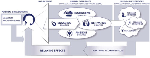 Figure 1. Conceptual framework of nature-visual experiences inducing relaxing effects. All icons used in the framework from the nounproject. Used with permission. (www.thenounproject.com).