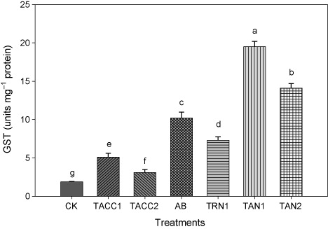 Figure 17. Comparative effectiveness of ACC-deaminase and/or nitrogen-fixing rhizobacteria on GST activity. Different letters (a–g) on bars indicate significant differences of mean values for seedling fresh weight. Bars represent standard errors.CK, control; AB, Azotobacter