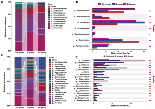 Figure 3. Comparison of relative abundance among each group. Barplots of the relative abundance of the main bacterial taxa at (a, b) phylum and (c, d) genus level for Con, M and S-C groups. (*<0.05, **<0.01).